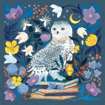 Cosmic Winter Owl puzzle